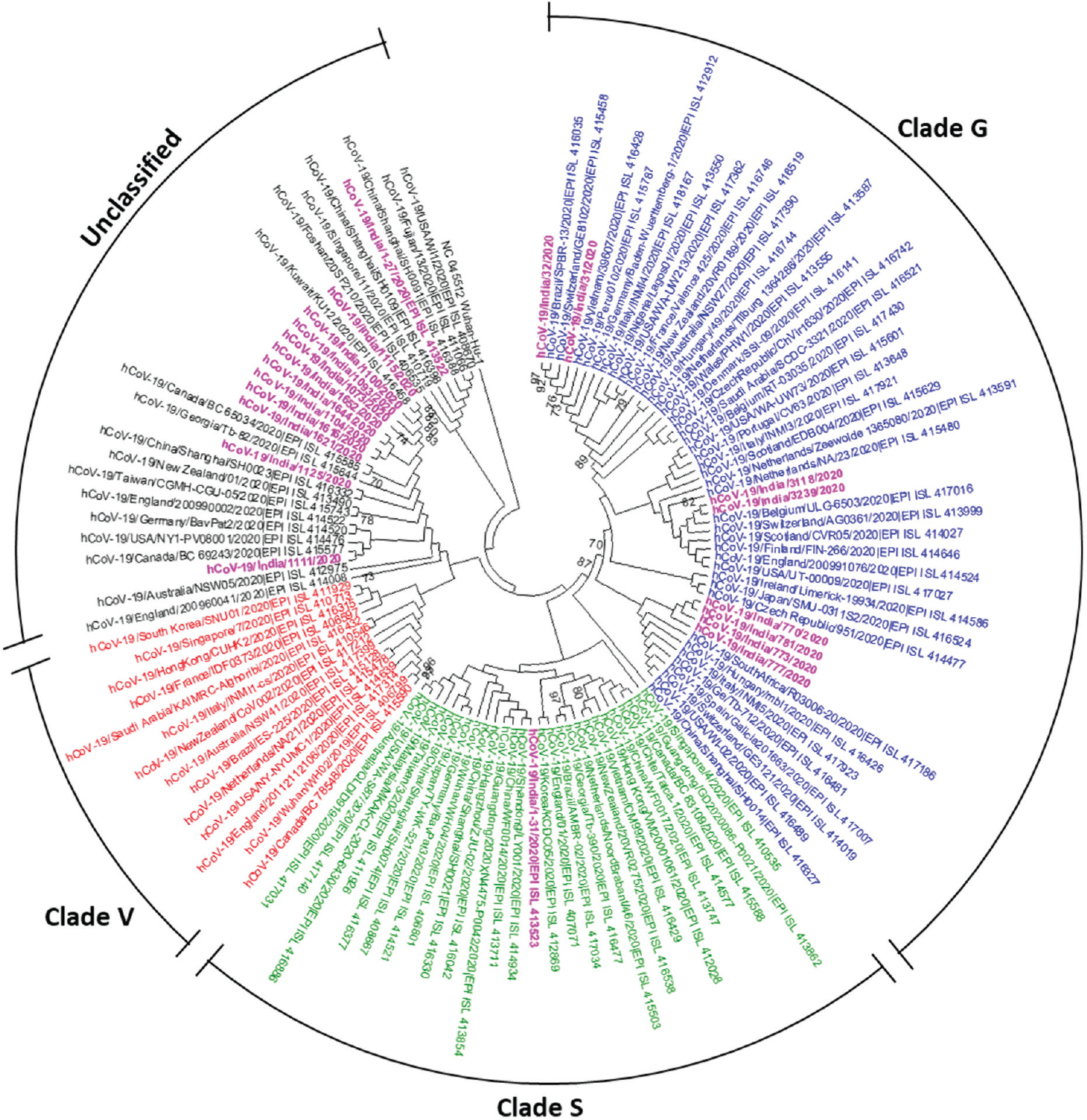 Phylogenetic tree of selected representative full-genome sequences of severe acute respiratory syndrome coronavirus 2 (SARS-CoV-2)-derived from coronavirus disease 2019 positive patients' clinical samples who had travel history of Wuhan, China, Italy and Iran by neighbour-joining method. Strains sequenced at ICMR-NIV are shown in magenta colour. The clades as per Global Initiative on Sharing All Influenza Data (GISAID) nomenclature are indicated in blue (clade G), red (clade V), green (clade S) and black (unclassified).
