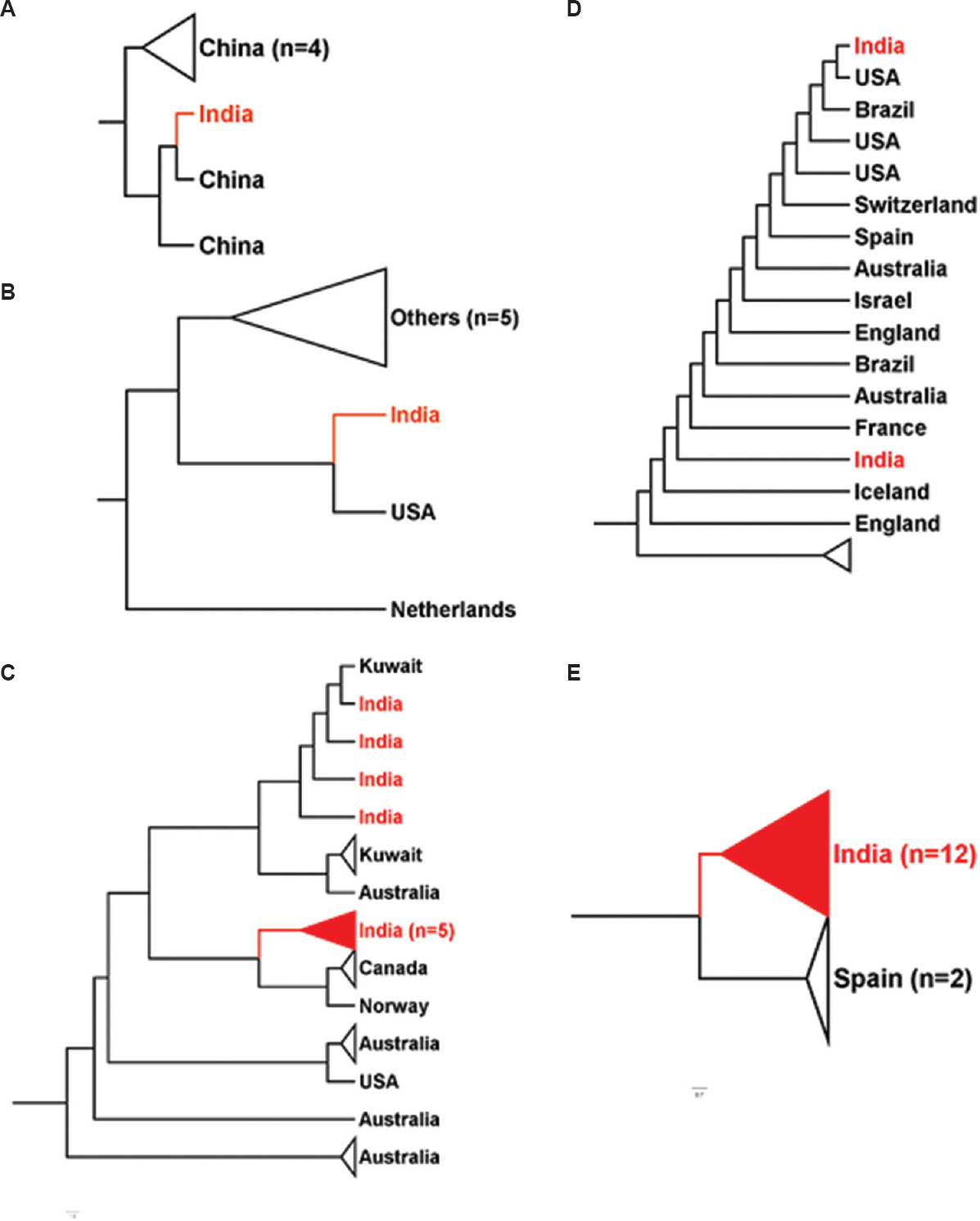Position of various Indian isolates with other nations. (A-E) Clustering of SARS-CoV-2 genome sequences from India (red) with other nations around the globe. Indian samples clustered with samples from different nations – China, Kuwait, Canada, USA and Spain in whole-genome-based clustering. Figures were generated using FigTree v1.4.4 (http://tree.bio.ed.ac.uk/software/figtree/).