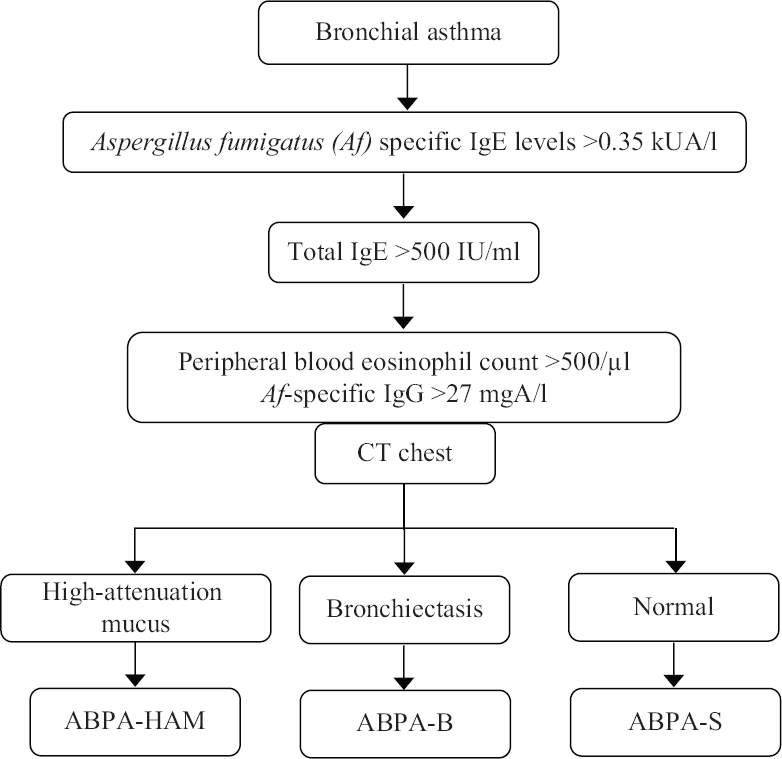 Algorithm followed in the diagnostic work-up of allergic bronchopulmonary aspergillosis (ABPA). Reproduced with permission from Ref. 3.
