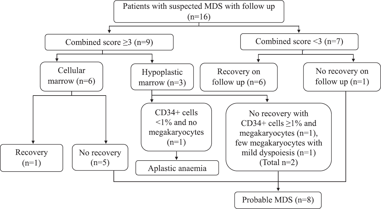 Flow chart showing follow up and diagnosis of patients with suspected myelodysplastic syndrome (MDS).