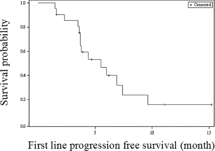 Kaplan-Meier survival analysis for progression-free survival (gemcitabine/platinum first-line therapy).