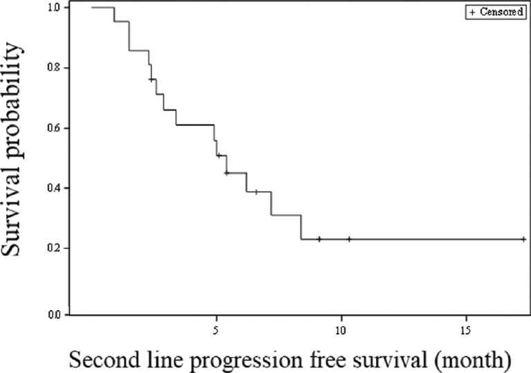 Kaplan-Meier survival analysis for progression-free survival (second-line FOLFOX-4 therapy).