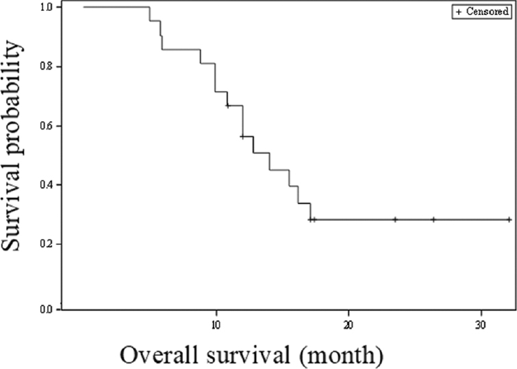 Kaplan-Meier survival analysis for overall survival (three lines of therapy).