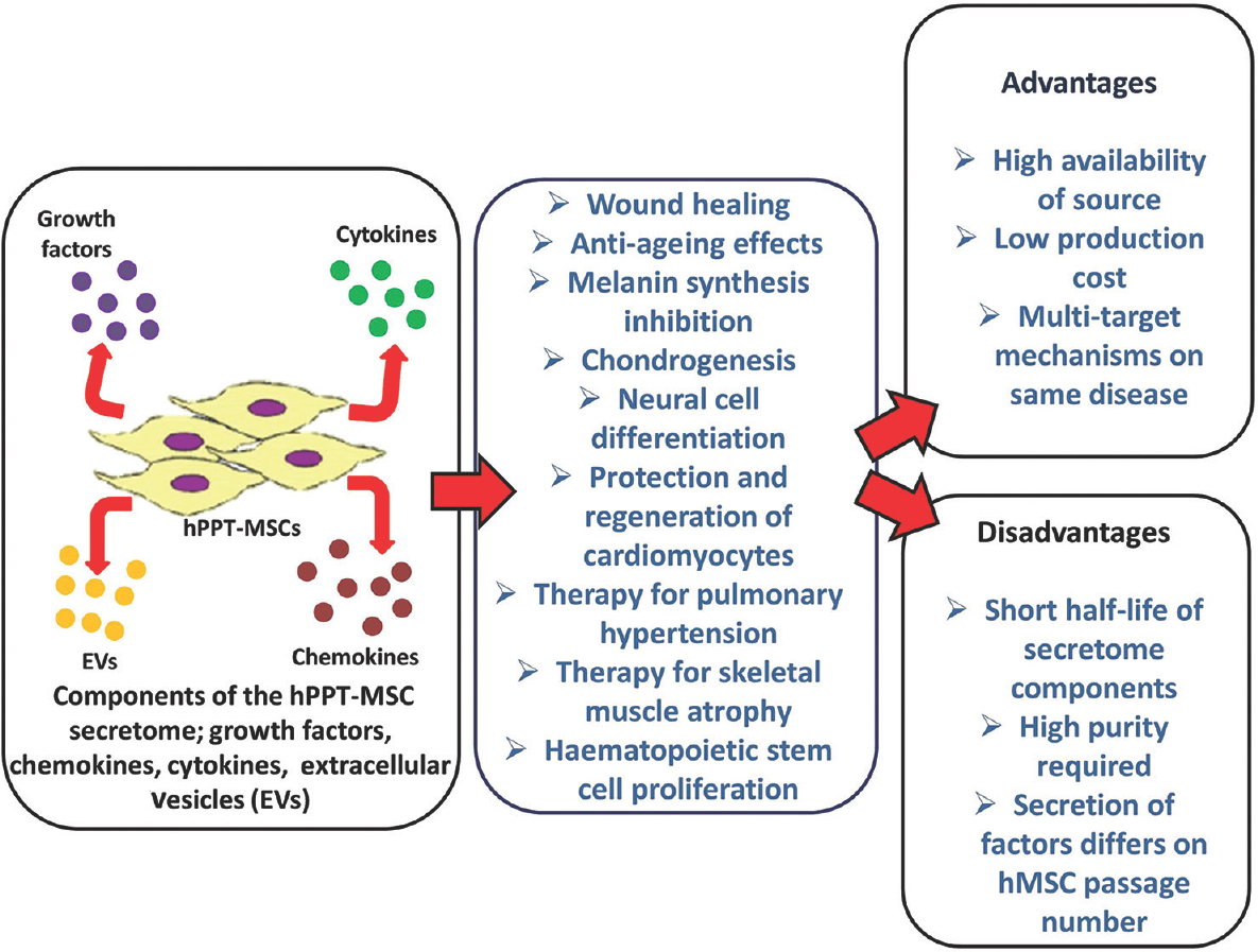 Human post-partum tissue mesenchymal stromal cells secrete growth factors, chemokines, cytokines and extracellular vesicles which form the components of its secretome. These secretome components manifest different therapeutic effects. List of advantages and disadvantages of the therapeutic use of human post-partum tissue mesenchymal stromal cell secretome over current cell therapy methods is provided.