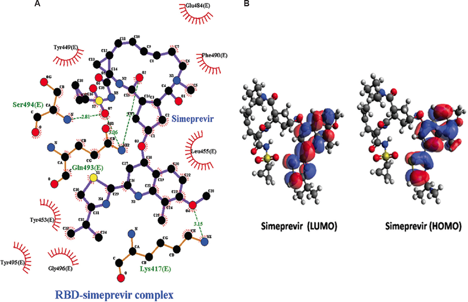 (A) Intermolecular hydrogen bonding, electrostatic and hydrophobic contacts formed between RBD-simeprevir complex drawn by and LigPlot+ tool. (B) LUMO and HOMO plots of simeprevir which exhibited higher reactivity against RBD. The positive electron density is indicated by red colour while blue colour indicates negative electron density. HOMO, highest occupied molecular orbital; LUMO, lowest unoccupied molecular orbital.