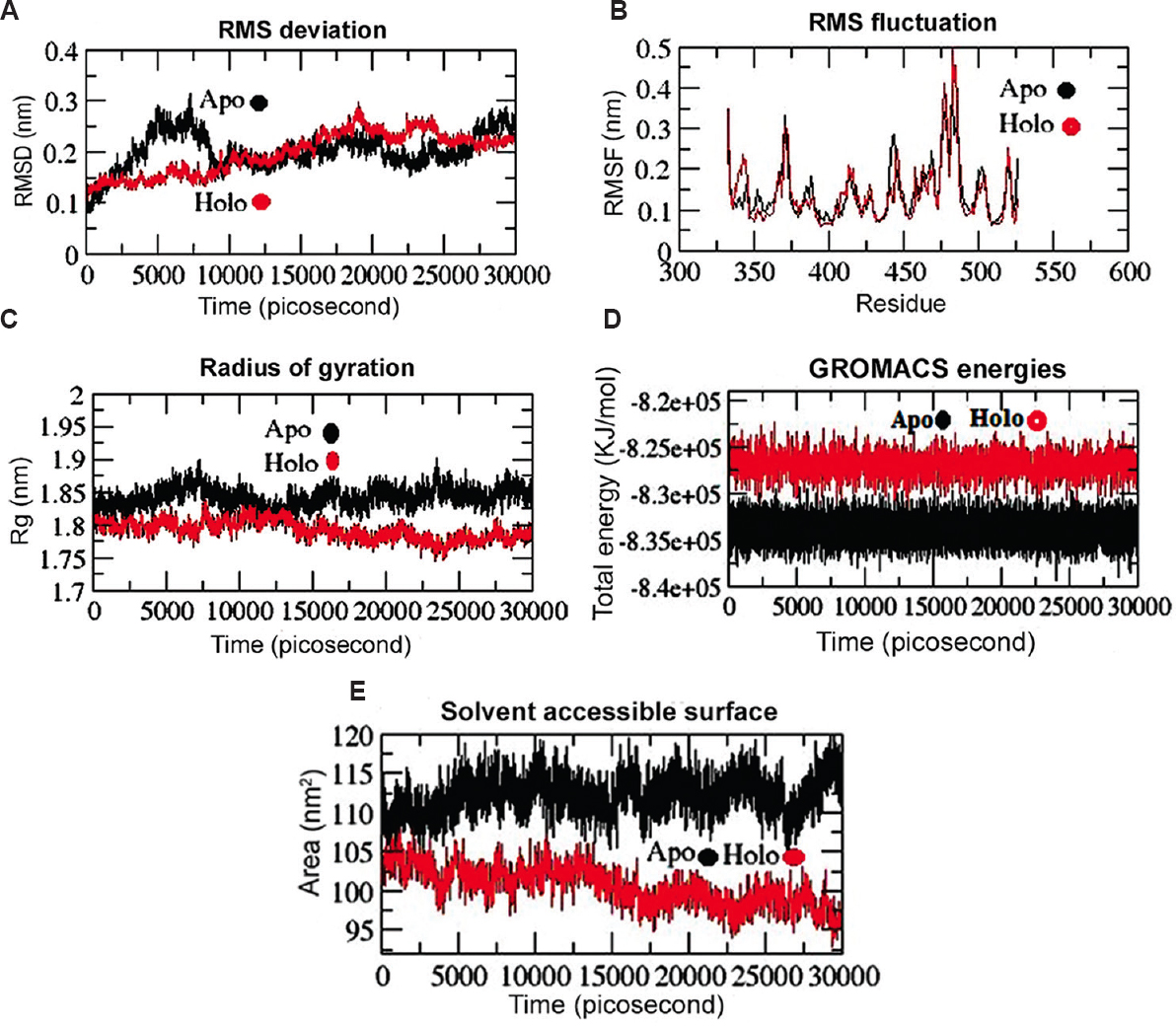 Conformational stability of RBD (Apo and Holo states) from SARS-CoV-2 spike protein throughout 30 nanoseconds (nsec) time period of MD simulations. (A) Backbone-RMSD of RBD. (B) Cα-RMSF profile of RBD. (C) Radius of gyration (Rg) profile of RBD. (D) Total energy of RBD and RBD-simeprevir complex (Apo and Holo state) during 30 nsec MD simulations. (E) Solvent accessible surface (SASA) analysis of RBD-simeprevir complex during 30 nsec MD simulations. The Apo and Holo are displayed by black and red lines, respectively. RMSD, root mean square deviation; RMSF, root mean square fluctuation; MD, molecular dynamics.