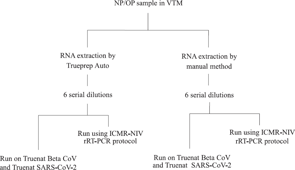 Flowchart showing evaluation of analytical sensitivity of the test. NP/OP nasopharyngeal/oropharyngeal swab; VTM, viral transport medium; rRT-PCR, real-time reverse transcription-polymerase chain reaction.