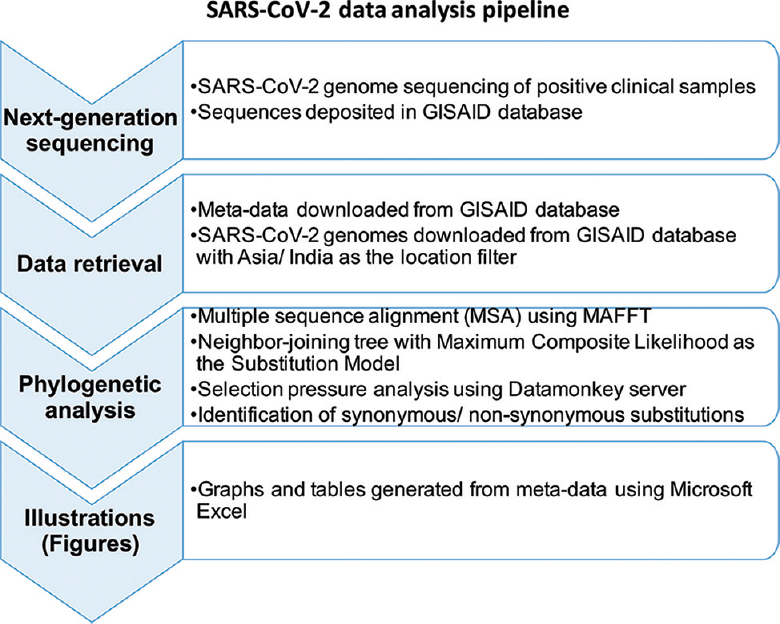 Workflow for SARS-CoV-2 data analysis.