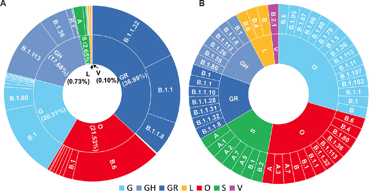 Sunburst diagrams coloured according to Global Initiative on Sharing All Influenza Data (GISAID) clades showing relationship between GISAID and Phylogenetic Assignment of Named Global Outbreak LINeages (Pangolin) annotations on the inner and outer circles, respectively for the Indian SARS-CoV-2 genomes (n=3014). (A) The proportionate chart showing dominant Pangolin corresponding to each of the GISAID clades (The count for individual clades/lineages is shown in Supplementary Table II). (B) The schematic representation of association between the GISAID clades and the Pangolin lineages.