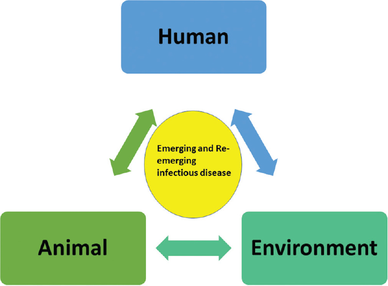One Health concept: Interlinkage between human health, animal health, and ecosystem.