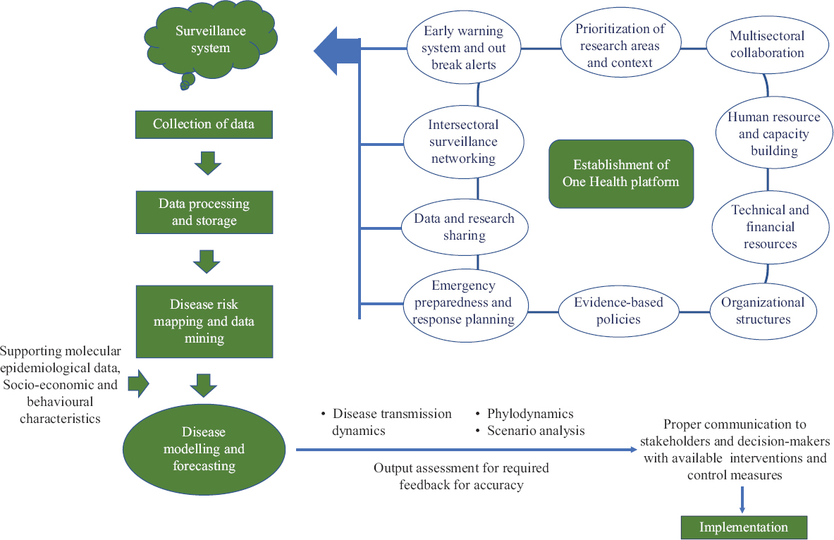 Various components of public health preparedness.