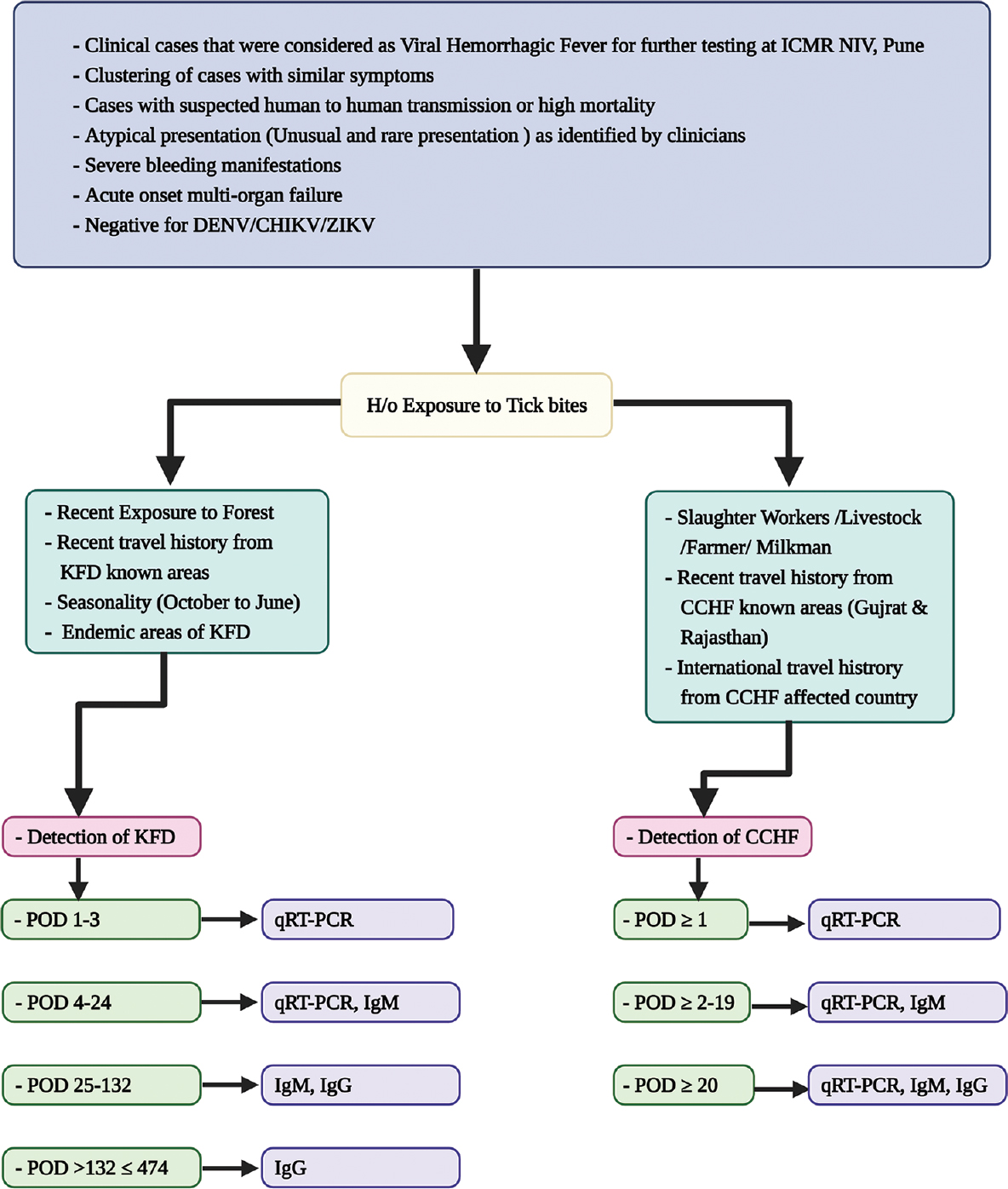 Diagnostic algorithm for the detection and screening of CCHF and KFDV cases. Source: Refs 16, 21 and NIV unpublished data; figure created by BioRender.com.