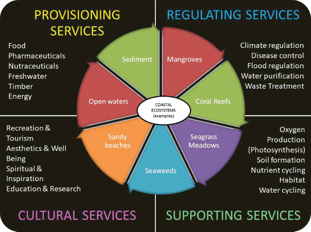 Ecosystem Services provided by Coastal Ecosystems.
