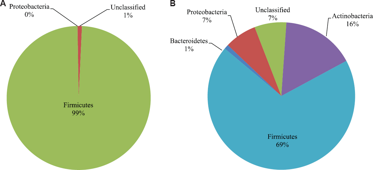 Relative abundance of the bacterial groups representing the vaginal microbiota of normal and bacterial vaginosis (BV) positive women. Pie charts showing the phylum-level distribution of bacterial relative abundance (%) in the vagina of the (A) normal women and (B) BV positive women.