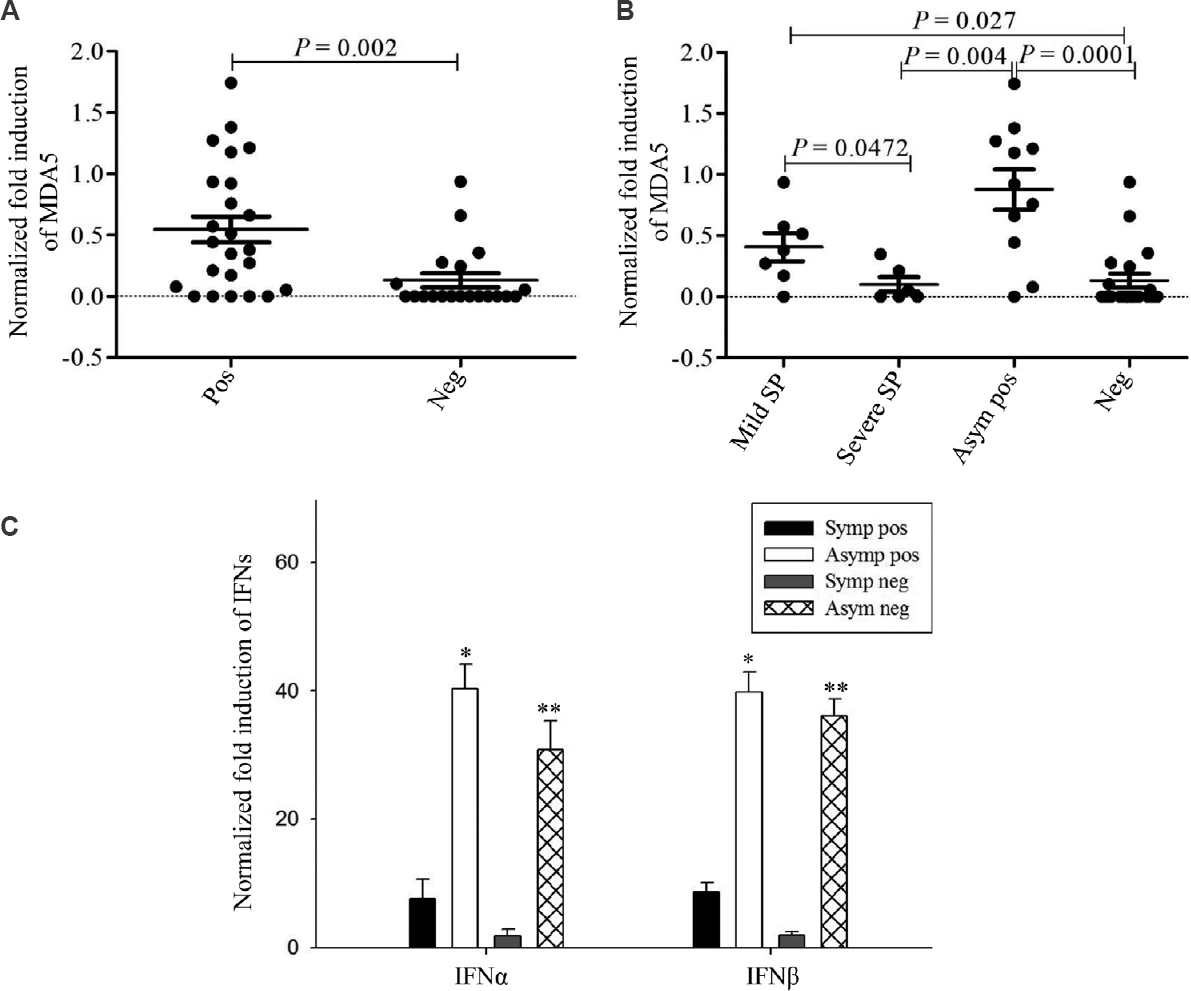 Differential expression of innate immune response genes in nasopharyngeal (NP) cells of SARS-CoV-2 infected and uninfected patients. Comparisons for mRNA expression of MDA5: (A) between SARS-CoV-2 positive group (n=24) versus negative control group (n=20) (P=0.002), (B) between SARS-CoV-2 mild symptomatic positive (n=7), severe symptomatic positive (n=6), asymptomatic positive (n=11), negative (n=20) (mild vs. severe, P=0.0472), (severe sym pos vs. asym pos, P=0.004), (mild vs. neg, P=0.027), (asym pos vs. neg, P=0.0001), (C) Comparisons for mRNA expression of IFNs (IFNα and IFNβ between SARS-CoV-2 symptomatic positive (pooled, n=5), asymptomatic positive (pooled, n=5), symptomatic negative (pooled, n=5), asymptomatic negative (pooled, n=5) (IFNα sym pos vs. asym pos P=0.0218, sym pos vs. asym neg P=0.0512, asym pos vs. sym neg P=0.0106, sym neg vs. asym neg P=0.0248), (IFNβ sym pos vs. asym pos P=0.0124, sym pos vs. asym neg P=0.0122, asym pos vs. sym neg P=0.0007, sym neg vs. asym neg P=0.0006). P *<0.05 compared to symptomatic positive group, **<0.01 compared to symptomatic negative group. TLR, toll-like receptors; MDA5, melanoma differentiation associated protein 5; IFN, interferon; SP, symptomatic positive