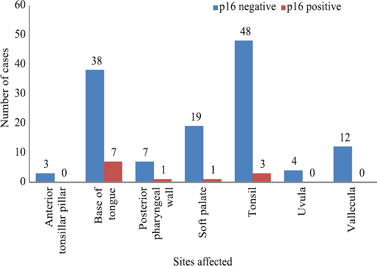 Comparative distribution of sites affected by p16 positive and negative patients (n=143).