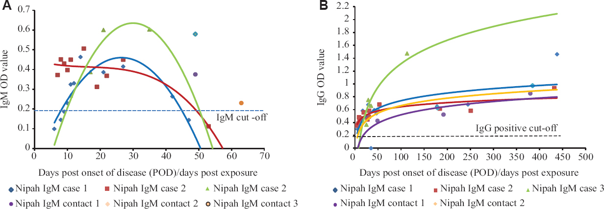 ELISA for anti-Nipah virus immunoglobulin M (IgM) and G (IgG) optical density (OD) read at 450 nm for Nipah positive cases - cases 1, 2 and 3 and contacts 1, 2 and 3. (A) Anti-Nipah virus IgM and (B) anti-Nipah virus IgG antibody OD at different post-onset of disease (POD)/days post-exposure. The curves represent IgM and IgG response trends in the individual cases.