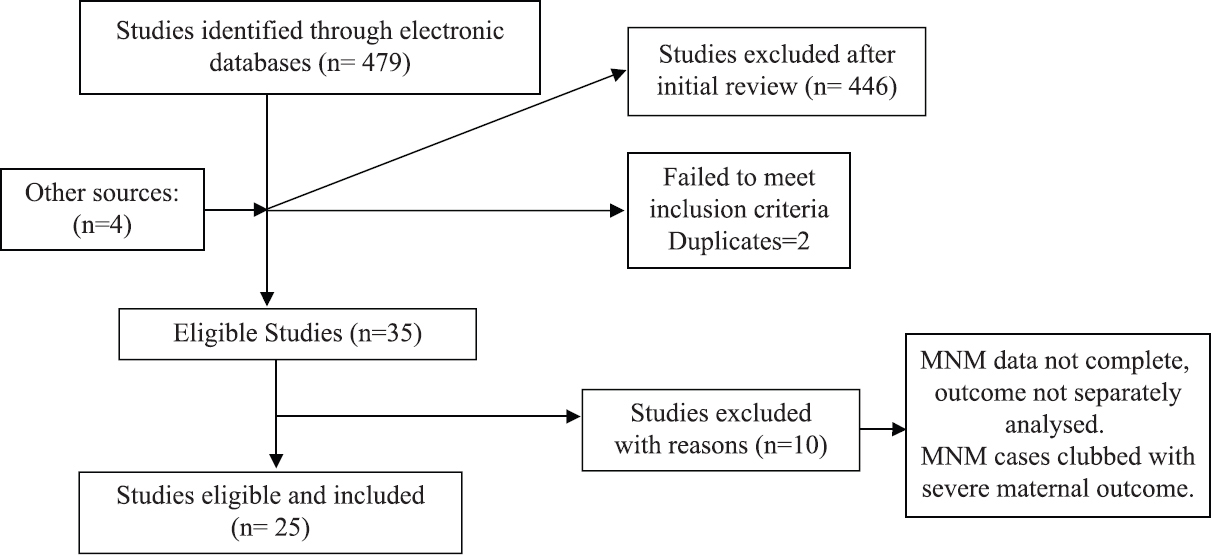 Study selection (flowchart).