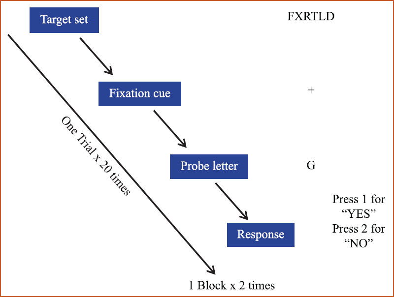 Trial structure for the Sternberg task paradigm.