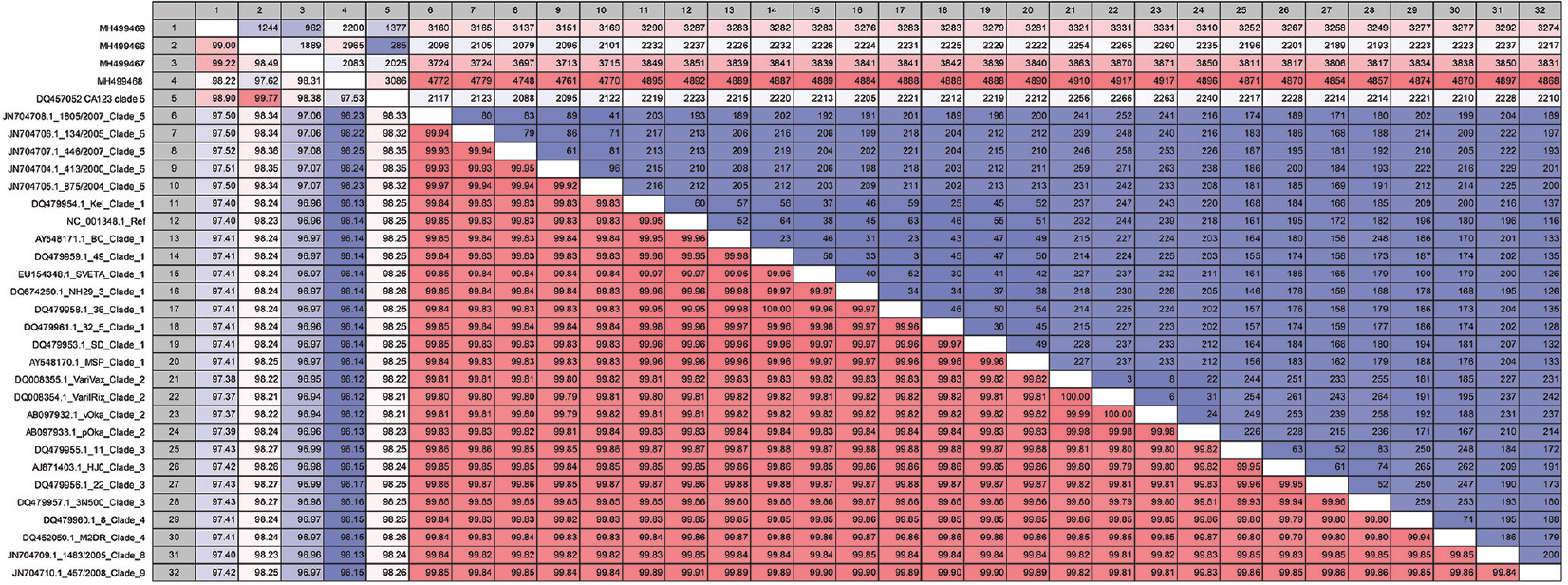 The nucleotide differences and per cent identity between the varicella zoster virus sequences used in this study obtained from the CLC Genomics Workbench. Nucleotide difference is shown in the upper right panel and per cent identity on the left lower panel.