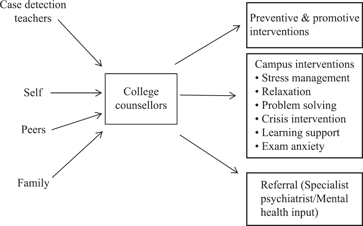 Suggested framework for college mental healthcare.