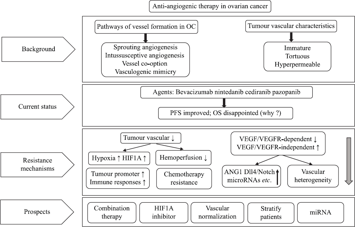 An outline diagram summarizes the entire review narrative on angiogenesis.