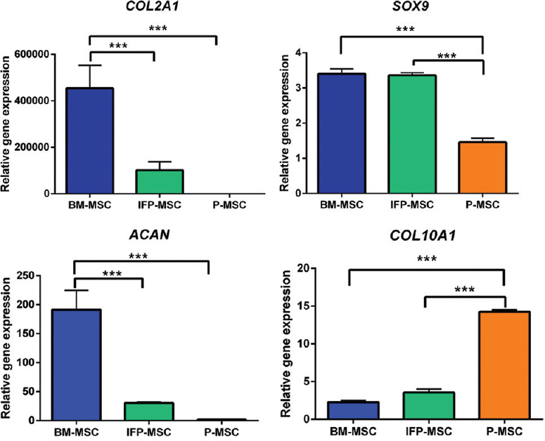 Quantitative analysis of cartilage-specific genes (COL2A1, SOX9 and ACAN) and hypertrophic chondrocyte gene (COL10A1) expressions in the chondrocyte pellet derived from three MSC sources. The BM- MSCs showed significantly higher expressions of COL2A1, SOX9 and ACAN expression with less hypertrophic differentiation (COL10A1), collectively the results in Figs 4 and 5 indicate that BM- MSCs have the best chondrogenic potential. P ***<0.001.