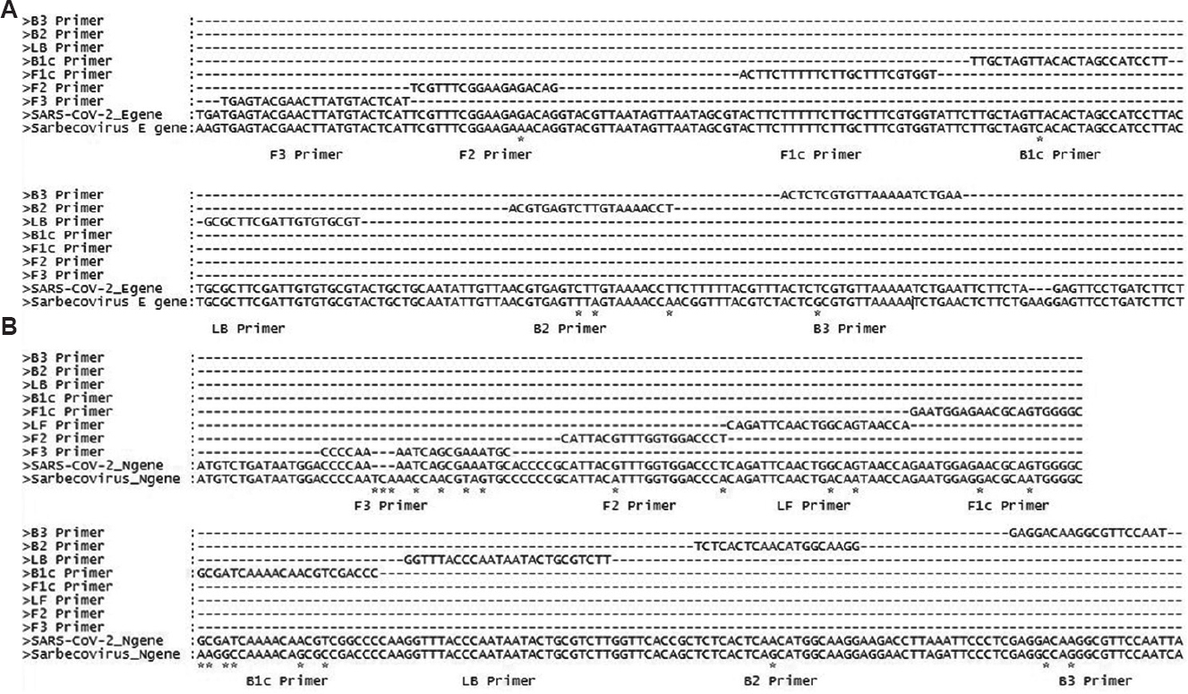 (A) Alignment of E gene of SARS-CoV (NC_004718.3) and SARS-CoV-2 (NC_045512.2) reference sequences showing primer positions and highlighting mismatches using ‘*’. F3, F1c and LB primers with no mismatches; while F2, B1c and B3 primers having one mismatch and B2 primer showing three mismatches. (B) Alignment of N gene of SARS-CoV (NC_004718.3) and SARS-CoV-2 (NC_045512.2) reference sequences showing primer positions and highlighting mismatches using ‘*’. F3: having three gaps and four mismatches; B2: showing one mismatch; LF, F2, F1c and B3: showing two mismatches; B1c: showing six mismatches and LB has no mismatch.