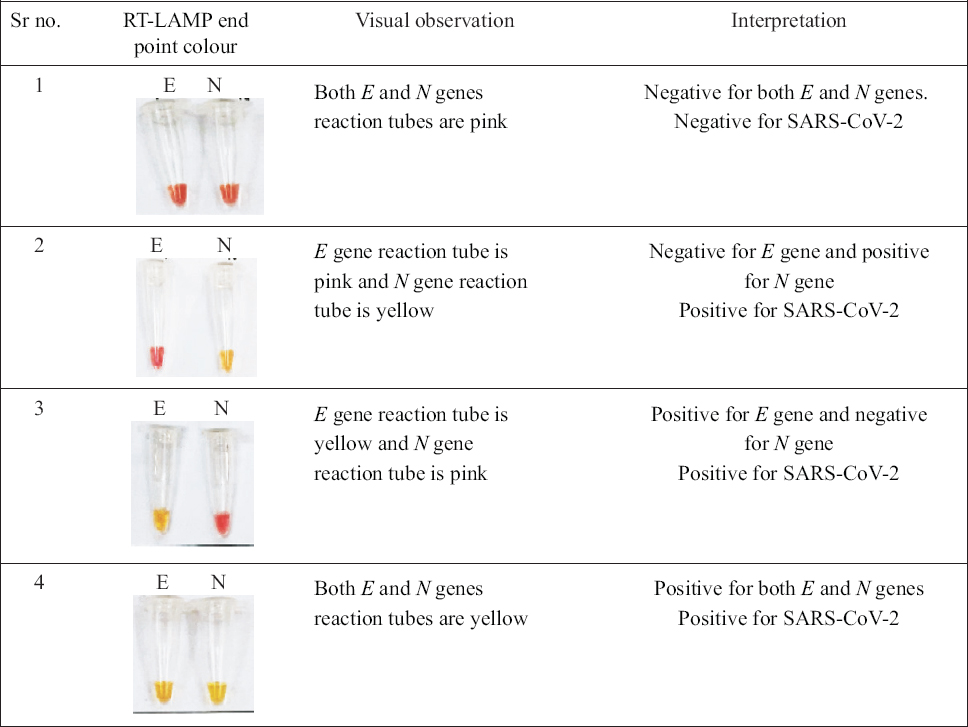Interpretation of results for detection of SARS-CoV-2 RNA: If the sample exhibits only E gene positive or only N gene positive or both E and N genes positive in all the above scenarios, the sample is considered as positive for SARS-CoV-2 RNA. However, in case of a sample, if both the genes display negative results, the sample is considered as negative for SARS-CoV-2 RNA.