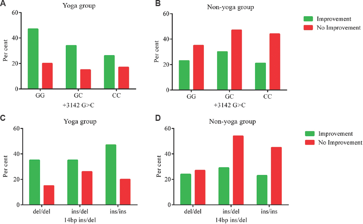 Improvement by genotype: (A and B) Percentage improvement by HLA-G +3142G>C genotypes and treatment arm; (C and D) percentage improvement by HLA-G 14 bp ins/del genotypes and intervention group.