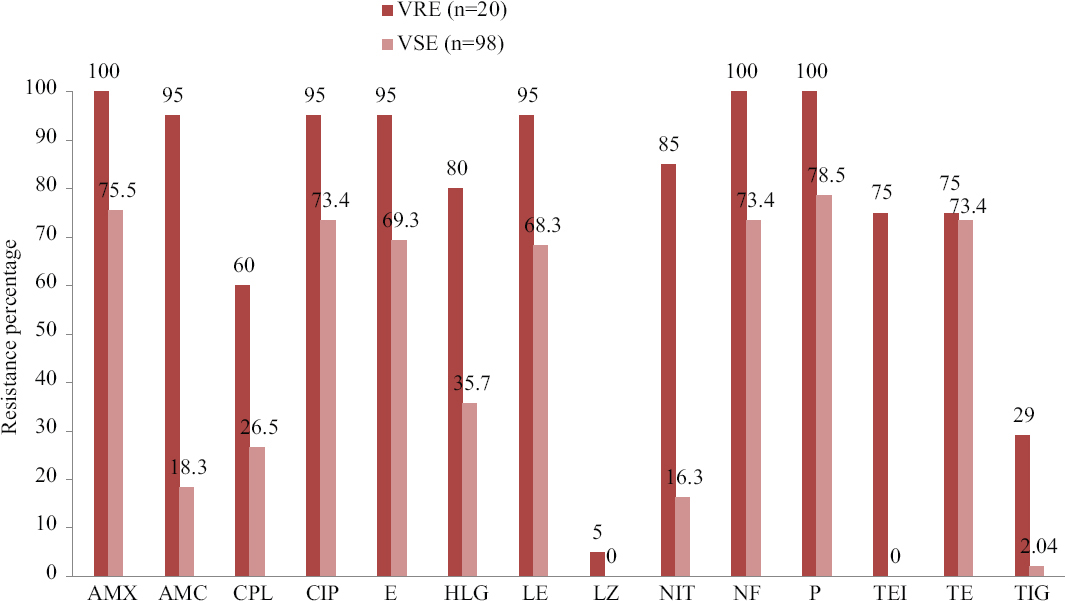 Antibiotic resistance pattern of VRE and non-VRE strains. AMX, amoxicillin; AMC, ampicillin- clavulanic acid; CPL, chloramphenicol; CIP, ciprofloxacin; E, erythromycin; HLG, high-level gentamicin; LE, levofloxacin; LZ, linezolid; NIT, nitrofurantoin; NF, Norfloxacin, P, penicillin; TEI, Teicoplanin; TE, tetracycline; TIG, tigecycline