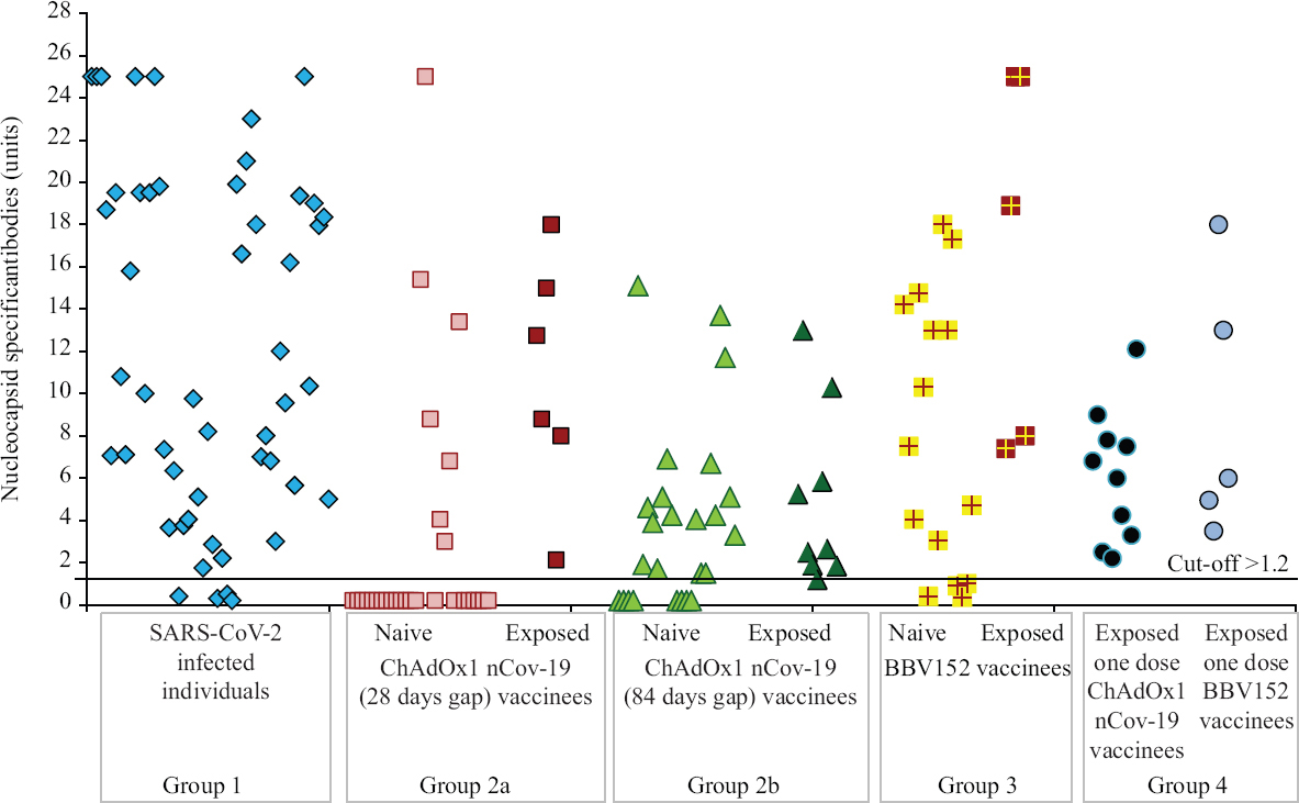 Nucleocapsid-specific antibody profile among different groups: SARS-CoV-2–infected individuals (group 1), naïve and exposed individuals vaccinated with ChAdOx1 nCoV-19 with 28 (group 2a) and 84 days (group 2b) gap, naïve and exposed individuals vaccinated with BBV-152 (group 3) and individuals who received only one dose (group 4) of either vaccine post-SARS-CoV-2 infection. High titres were observed in individuals with past SARS-CoV-2 infection after either one or both doses of vaccine.