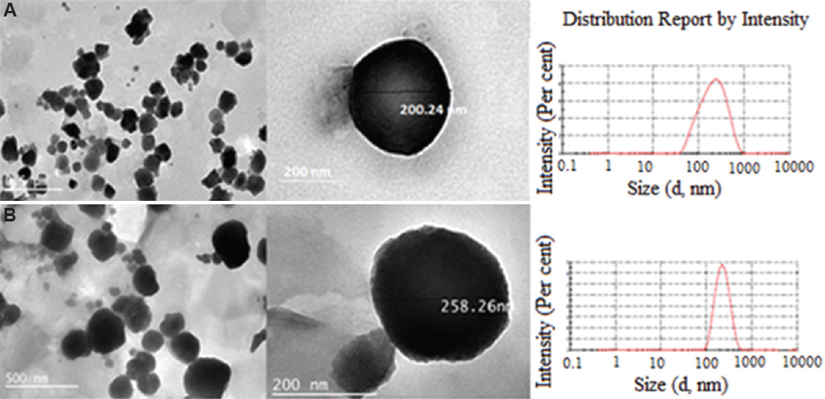 Transmission electron microscopy images of (A) SLN-D and (B) SLN-C. SLN-D, DOX-loaded SLNs, SLN-C, FAD conjugate-loaded SLNs; SLNs, solid lipid nanoparticles.