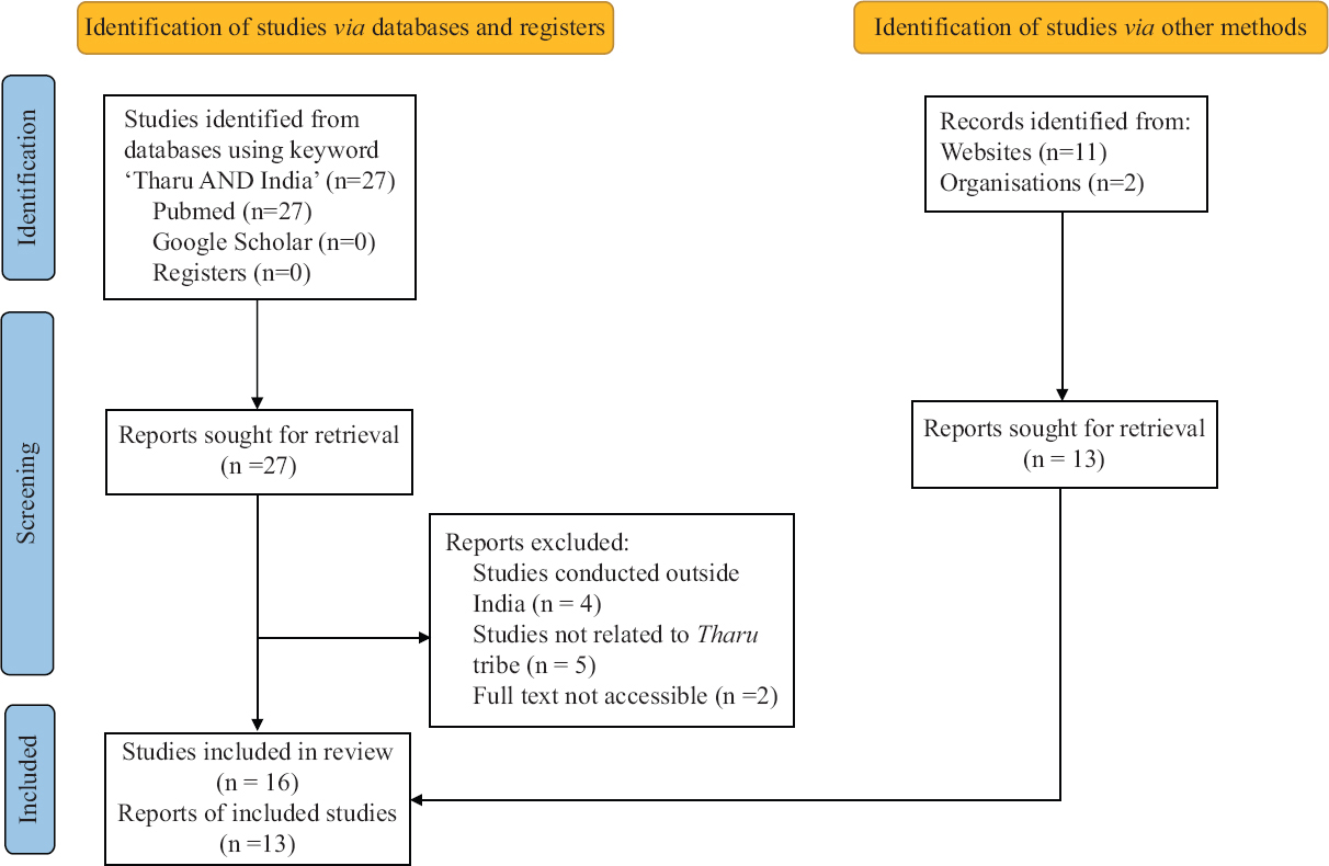 PRISMA flow diagram. PRISMA, Preferred Reporting Items for Systematic Reviews and Meta-Analyses