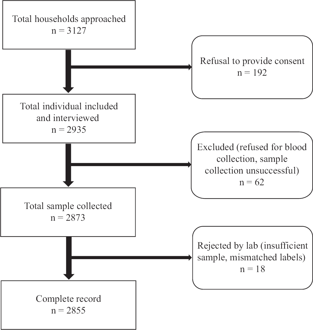 Study flow diagram of the sample collection process.