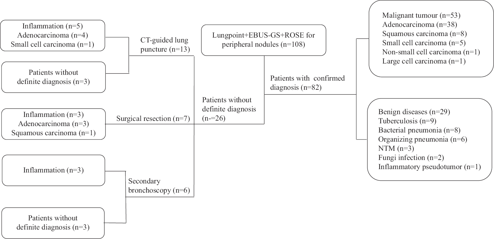 Schematic diagram of the diagnoses of the study participants. Patients without definitive diagnosis were followed up for one year. NTM, non-tuberculous mycobacteriosis; CT, computed tomography; EBUS-GS, endobronchial ultrasound with a guide sheath; ROSE, rapid on-site evaluation.
