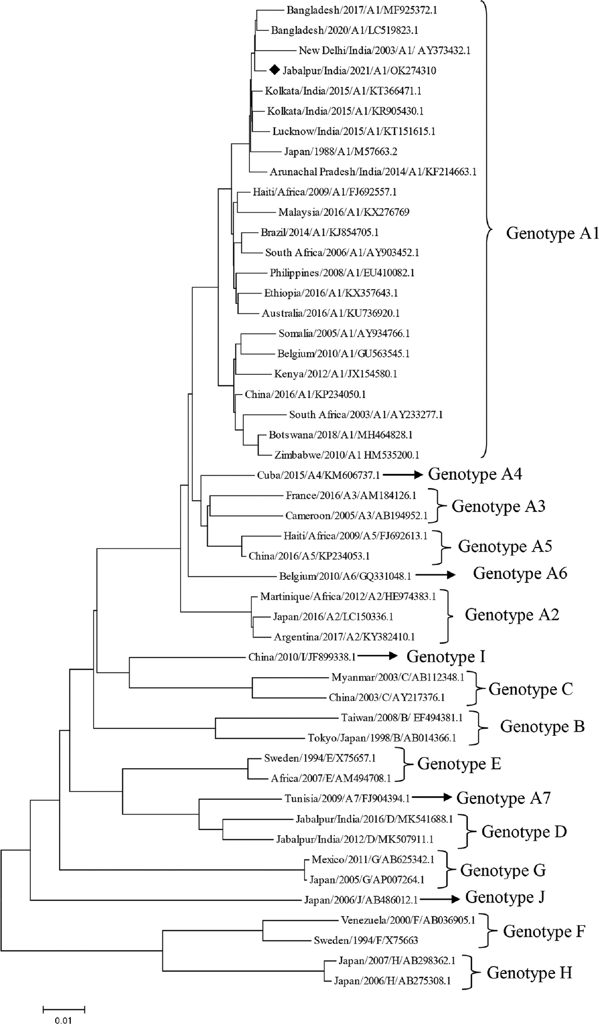 The phylogenetic tree of HBV sequence detected from central India (marked with ♦: OK274310) was constructed using the neighbour-joining method in MEGA5. The percentage of replicate trees in which the associated taxa clustered together in the bootstrap test (1000 replicates) is shown next to the branches. Pattern of labelling City/Country/Year/Genotype/Accession Number. HBV, hepatitis B virus.