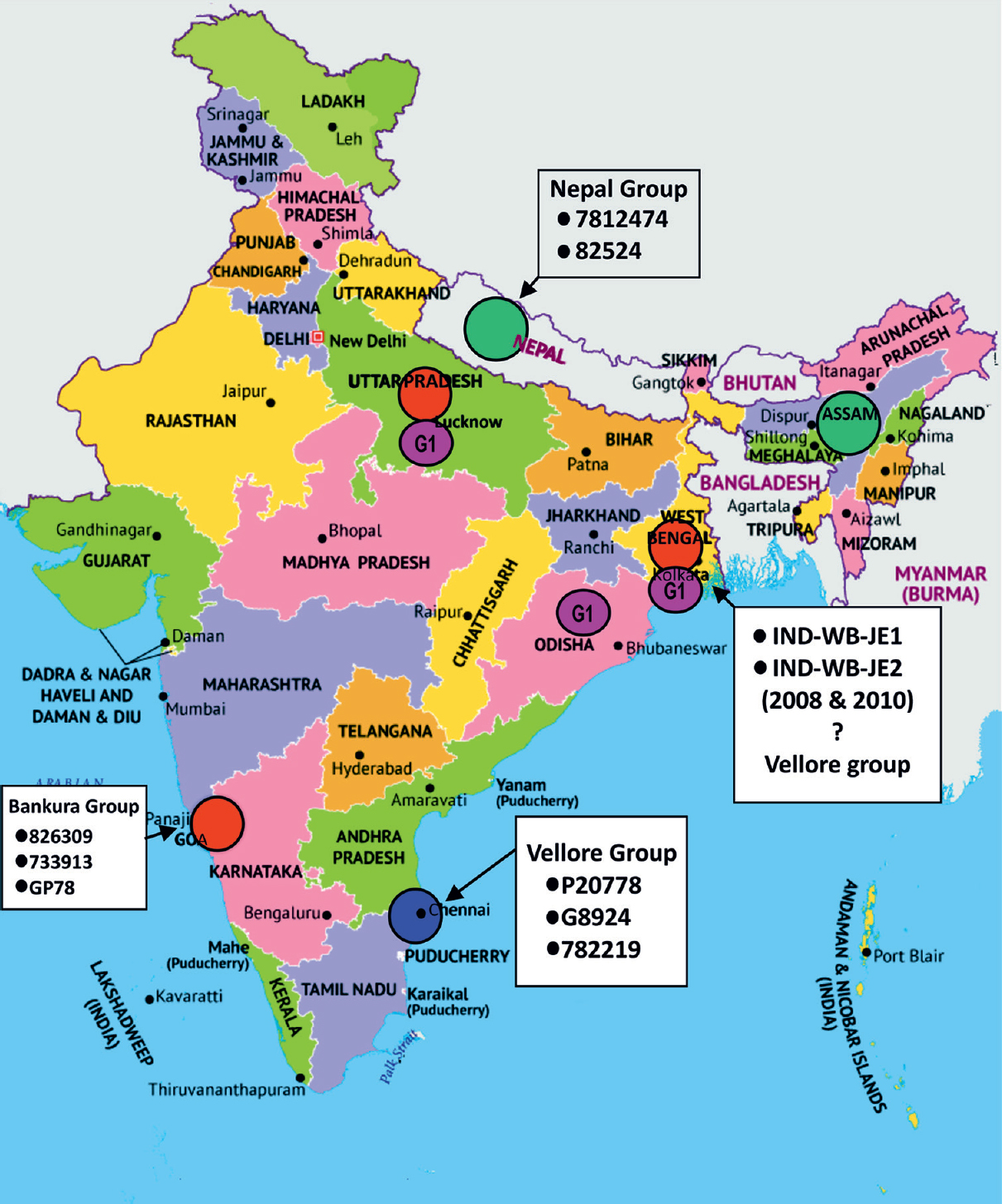 Distribution of JEV grouping based on partial genome Sequencing. Eruption of JEV GI in Gorakhpur, UP and West Bengal India has been shown. Source: https://www.freeworldmaps.net/asia/india/. JE, Japanese encephalitis, JEV, Japanese encephalitis virus