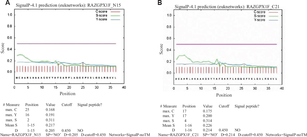 Signal peptide cleavage site prediction in the protein sequence of (A) healthy, and (B) osteoporosis Individuals. Signal P 4.1 servers were used for the first 40 amino acids in our amplicons to compare with the reference amino acid sequence from UniProt (GPX1 ID: P07203) between osteoporotic and healthy individuals. C-score: raw cleavage site score; S-score: signal peptide score; D-score: Discrimination score; Y-score: Combined cleavage site score that predicts true cleavage. Y-score was comparable amongst osteoporotic (0.200) and healthy (0.191) individuals. GPX1, glutathione peroxidase 1