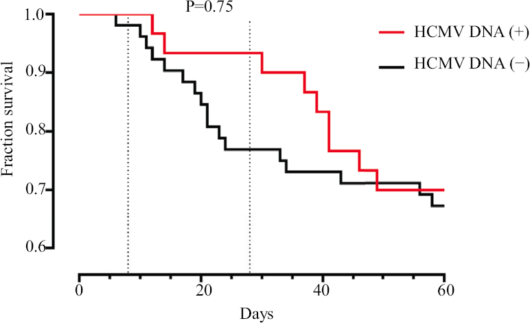Kaplan-Meier survival analysis in patients with and without HCMV DNA in biological fluids. HCMV, human cytomegalovirus.
