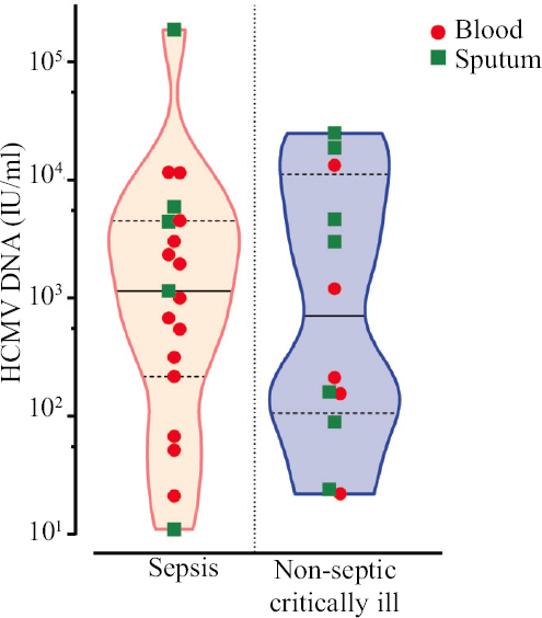 Level of HCMV DNA (IU/ml) in blood and sputum in patients with and without sepsis. The number of positive samples exceeds the number of HCMV-positive patients because in some patients HCMV DNA could be detected in plasma and sputum.