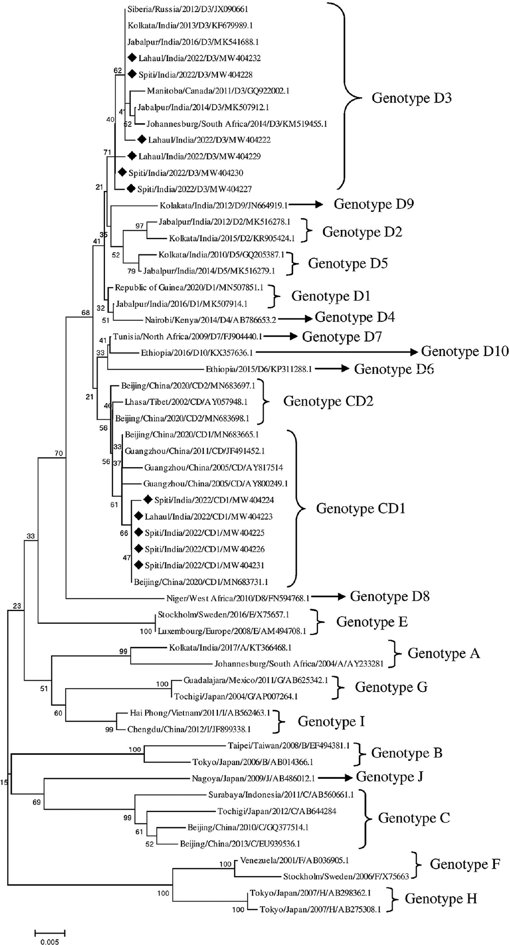 The phylogenetic tree of HBV sequence detected from Lahaul and Spiti (marked with ♦) was constructed using the neighbour-joining method in MEGA5. The tree was constructed by using reference sequences for genotype D (n=18), genotypes A and B (n=2 each), genotype C (n=4), E to I (n=2 each), genotype J (n=1), CD1 (n=5) and CD2 (n=3) were retrieved from GenBank database. The percentage of replicate trees in which the associated taxa clustered together in the bootstrap test (1000 replicates) is shown next to the branches (Pattern of labelling: City/Country/Year/Genotype/Accession Number).