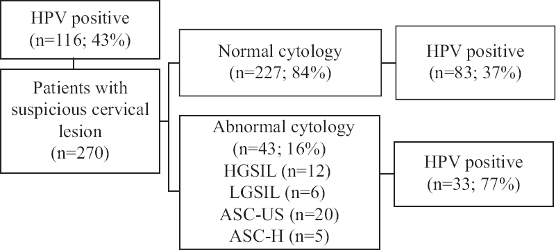 Flow diagram showing prevalence of HPV in smear samples taken from patients with suspicious cervical lesion who had normal or abnormal cytology using a multiplex-PCR method. HPV, human papillomavirus; HGSIL, high-grade squamous intraepithelial lesion; LGSIL, low-grade squamous intraepithelial lesion; ASC-US, atypical squamous cells of undetermined significance; ASC-H, atypical squamous cells-cannot exclude HSIL