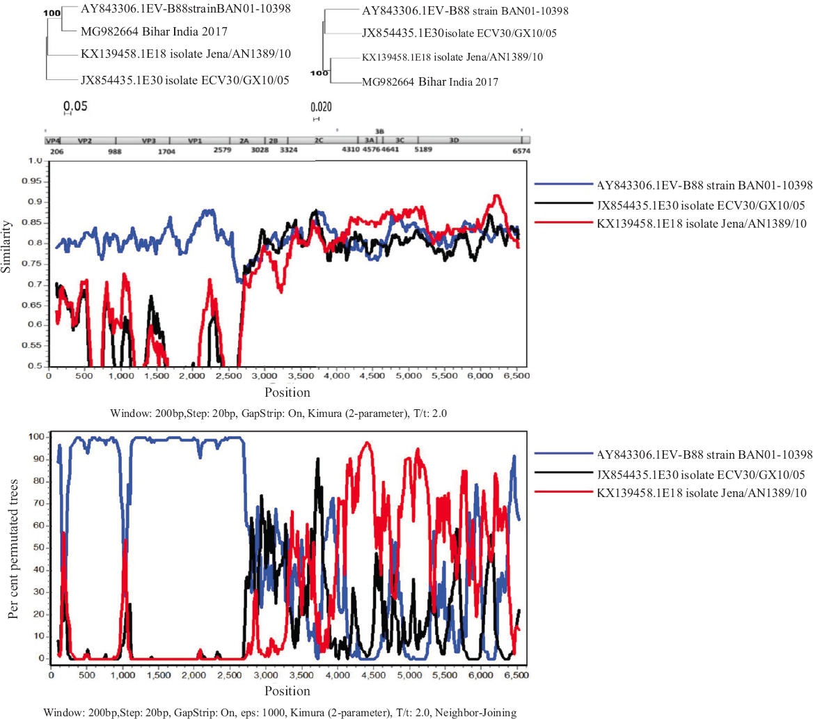 Recombination analysis of MG982664 genome isolated from Bihar, India. Recombination analysis using Simplot and Bootscan using a window size of 200 nucleotides and a step size of 20. 1000 pseudo-replicates were used for running Bootscan analysis.