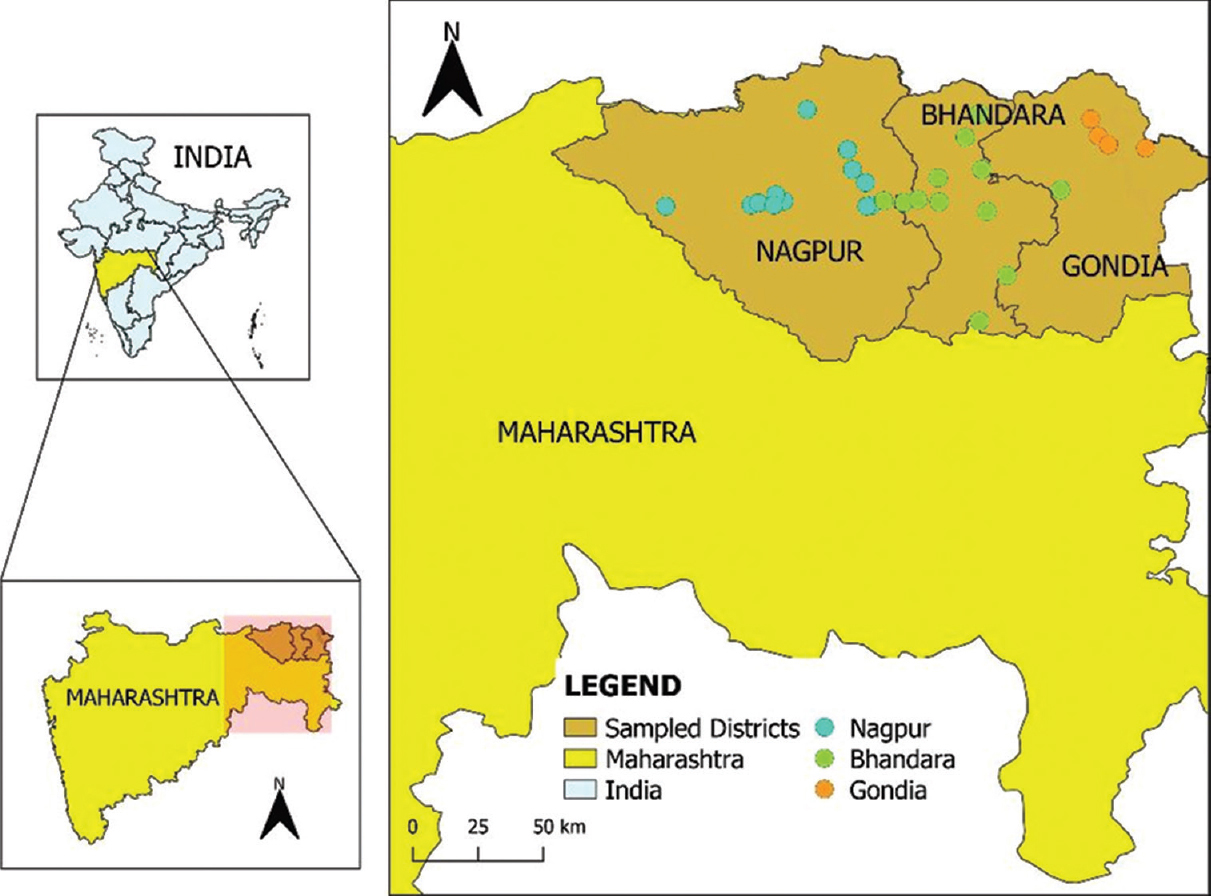 Study sites in Nagpur, Bhandara and Gondiya districts in Maharashtra (sites were selected according to Chandipura virus endemicity.
