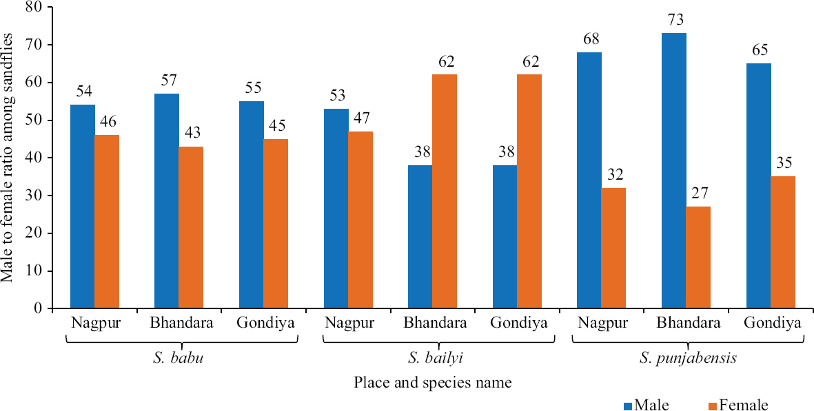 Male–female ratio of three species of Sergentomyia sandflies collected from Nagpur, Bhandara and Gondiya districts of Maharashtra.