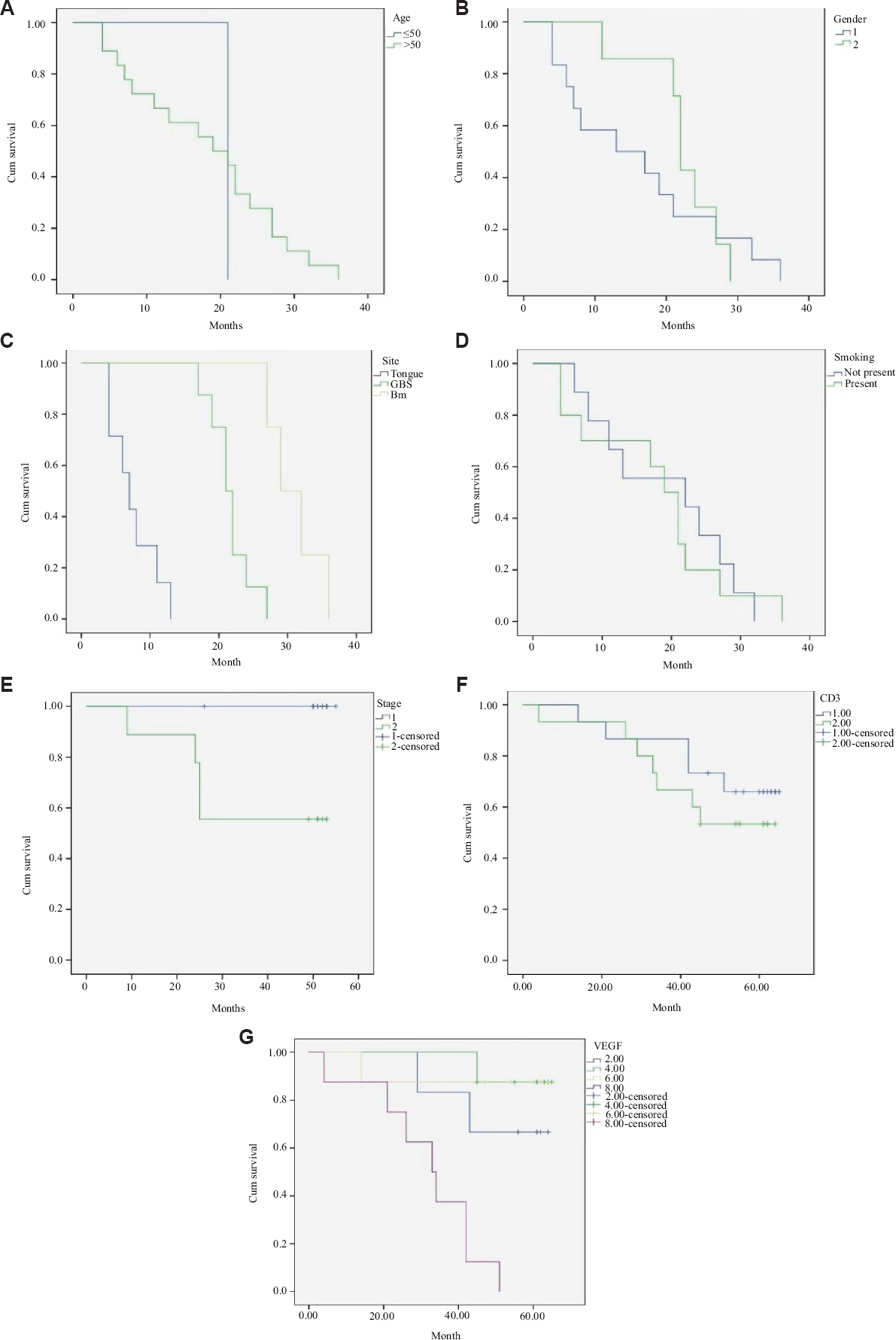 Kaplan-Meier plots comparing the clinicopathological parameters with cumulative survival. (A) age group, (B) gender, (C) site, (D) smoking, (E) staging, (F) CD3 expression, and (G) VEGF expression.