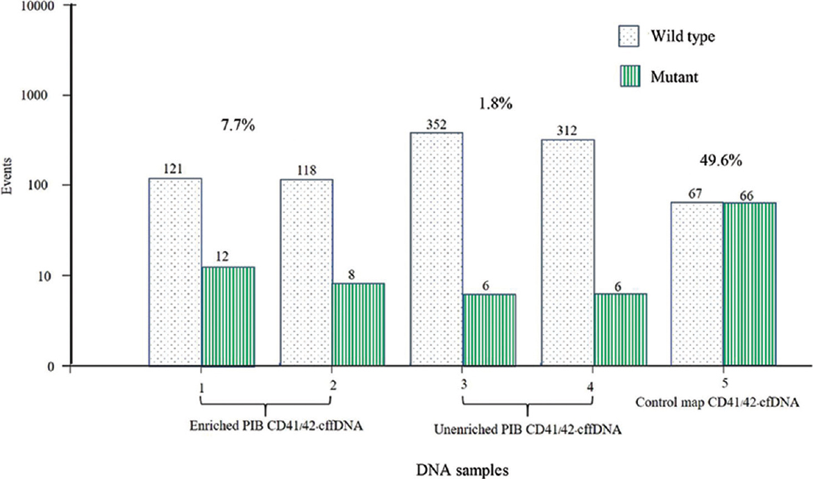 An image of cffDNA enrichment from a PIB test-positive couple where the mother carried CD 26 and father carried the CD41-42 β-thalassaemia mutation. The cffDNA fragments exhibited an increase in the concentration of the mutant alleles to 4.1 times above the initial value. cffDNA, cell-free foetal DNA; PIB, paternally inherited β-thalassaemia mutation