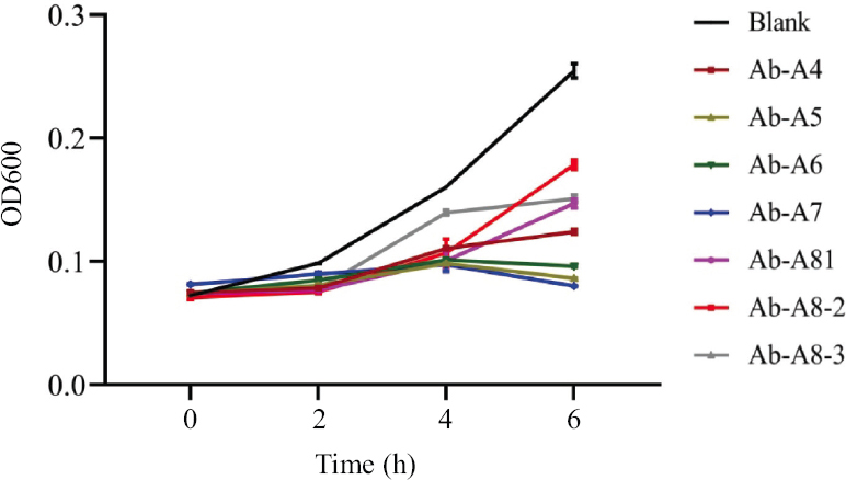 The lysis curve of MDR Acinetobacter baumannii AIIMS-17 infected with different Acinetobacter phages, showing a significant reduction in OD in the presence of bacteriophage in comparison to uninfected bacterial culture (Blank). MDR, multidrug resistant