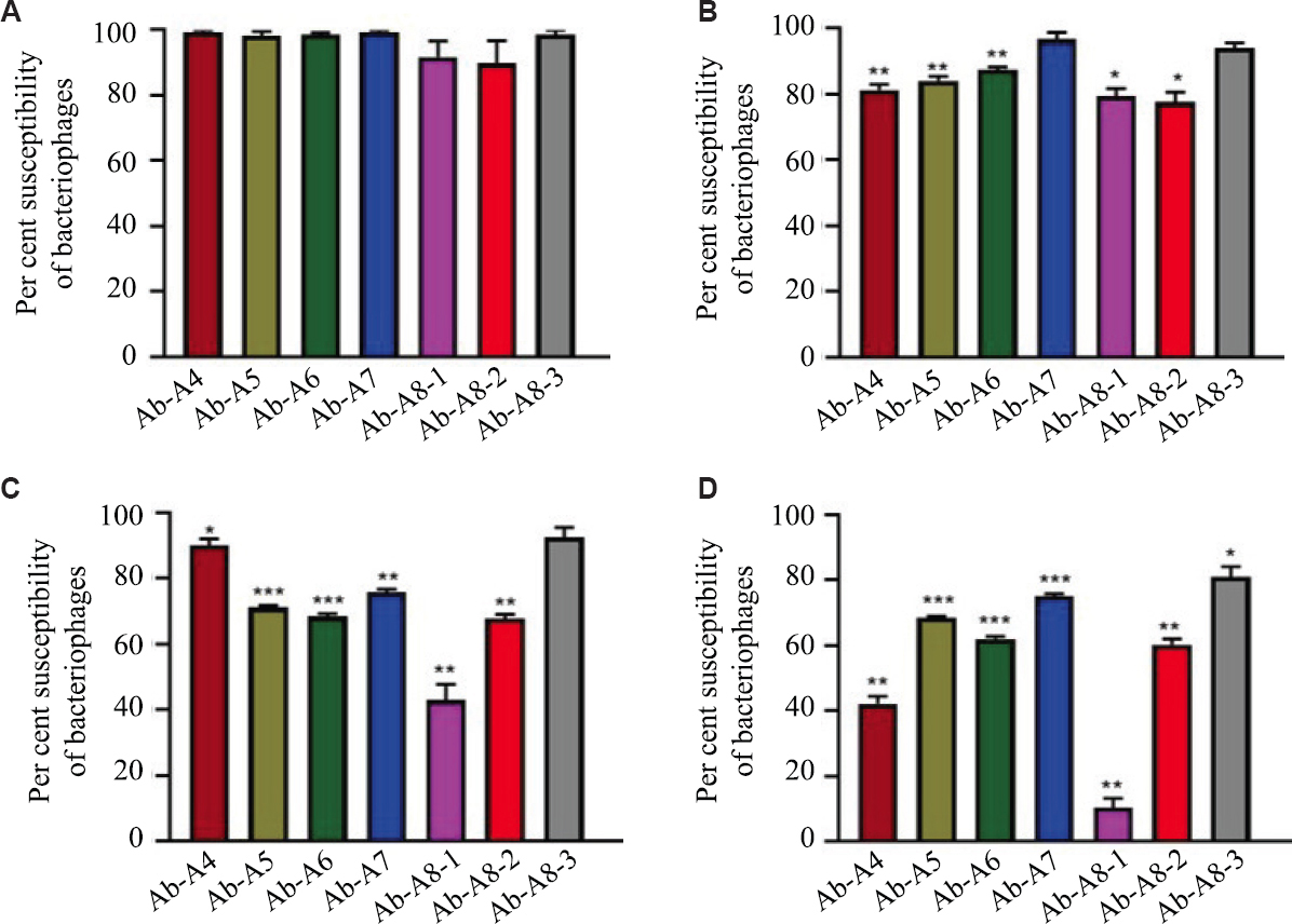 Thermal stability of different bacteriophages exposed at (A) 30°C for two hours, (B) 30°C for six hours, (C) 40°C for two hours, and (D) 40°C for six hours.
